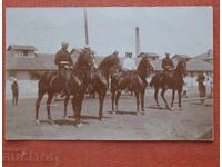 Cavaleriști