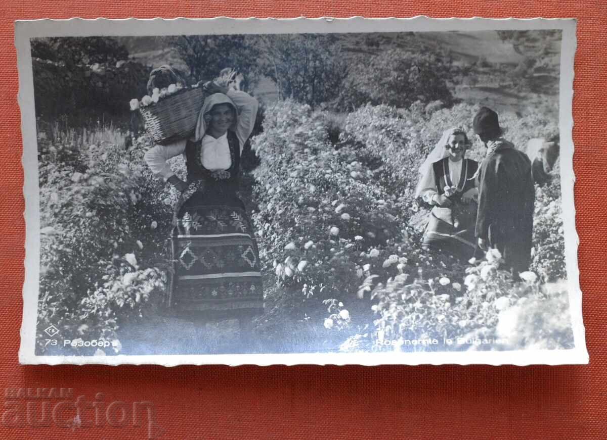 Nu pot traduce "Rozoberŭ" în română deoarece nu înțeleg limba rusă