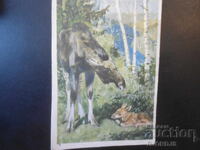 Old Russian card