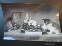 Old Russian card