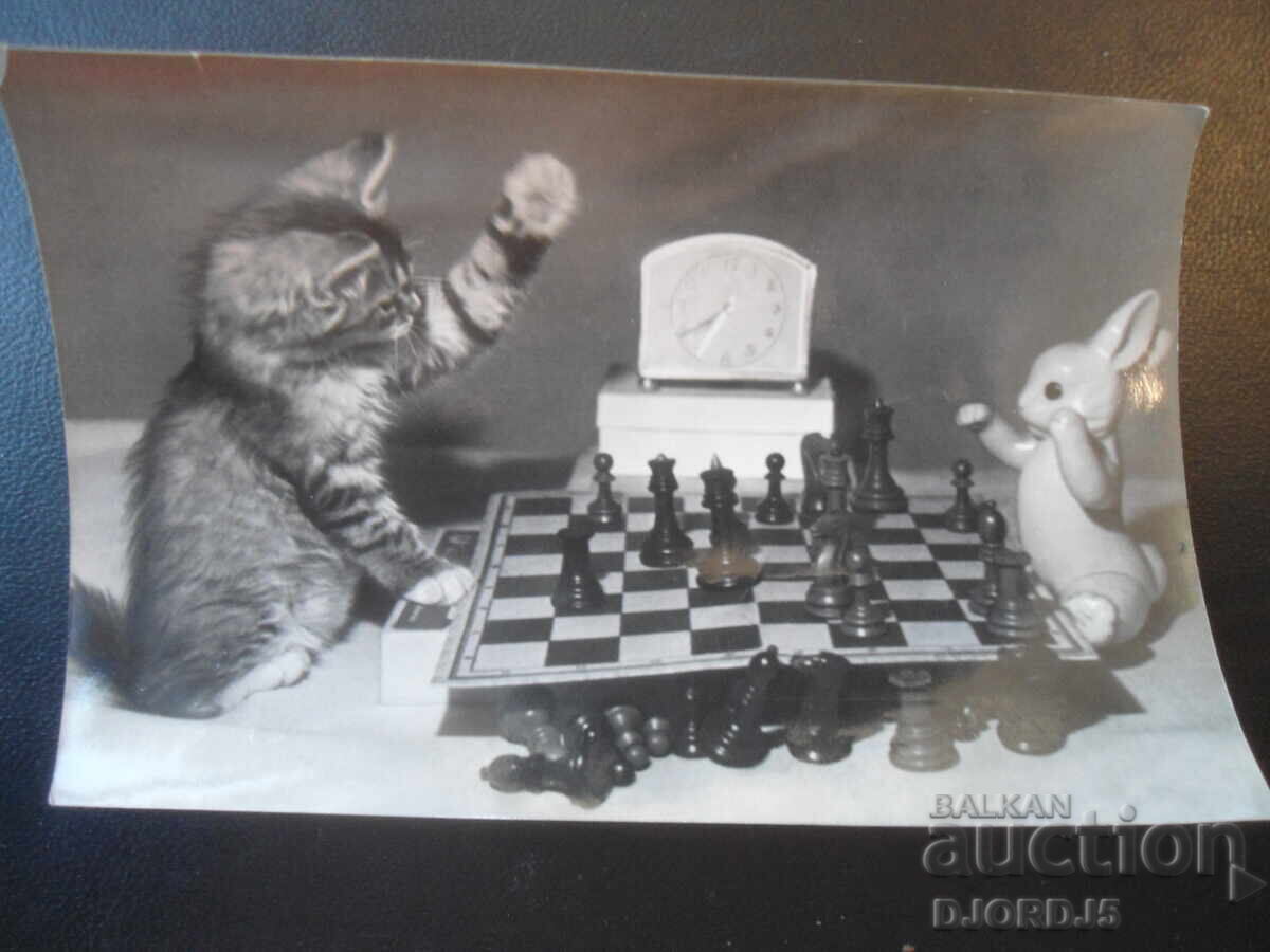 Old Russian card