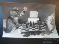 Old Russian card