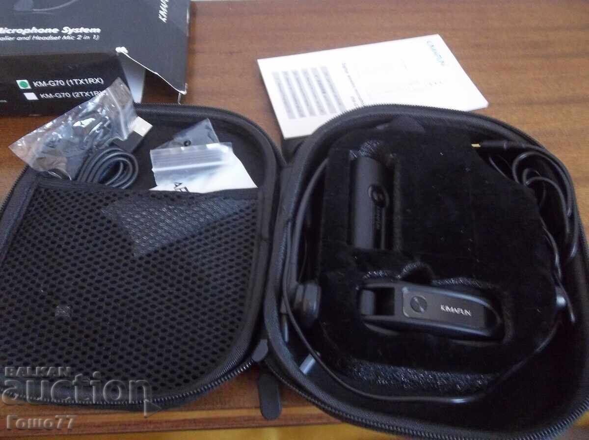Auction  Headphones