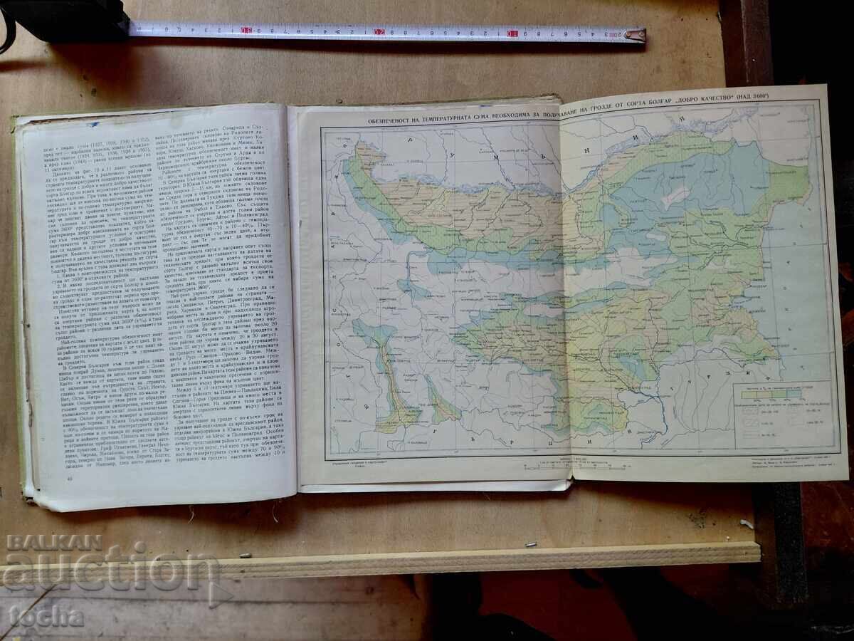 Licitație Viticultură, zonare cu hărți