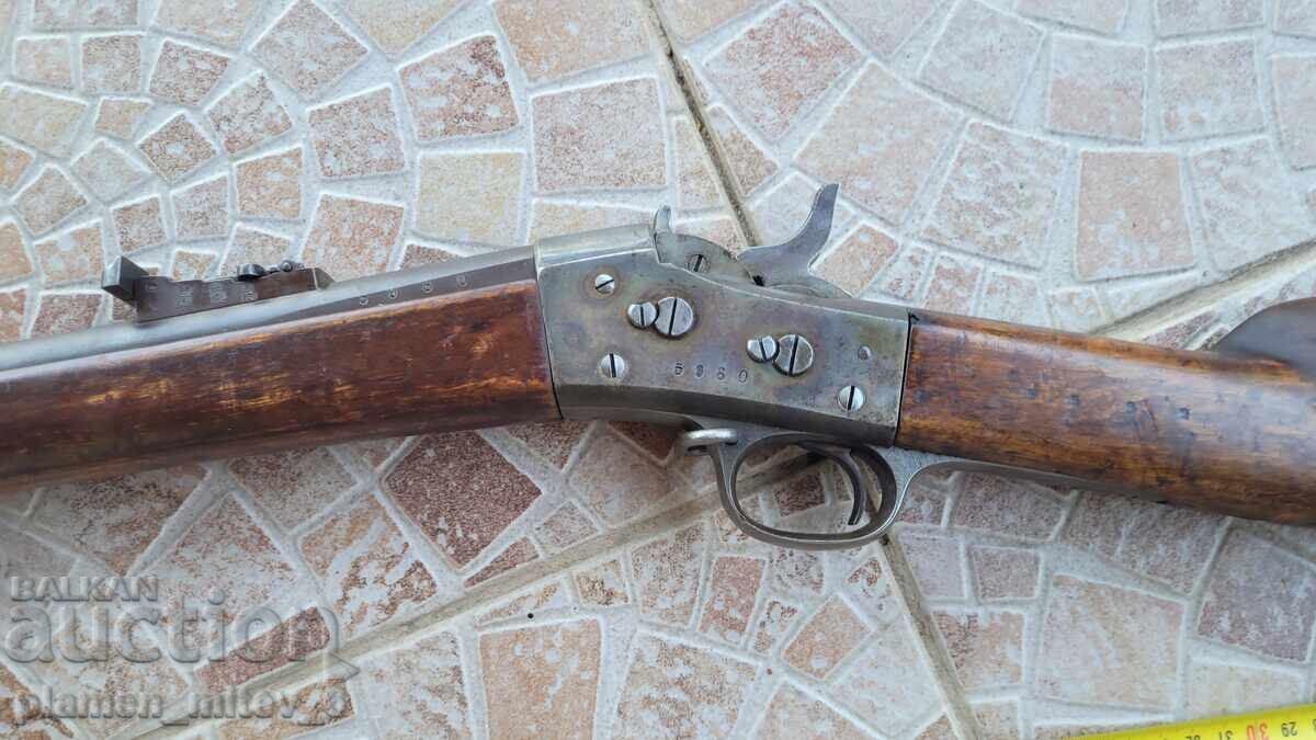 Cannon, Swedish Remington - 6