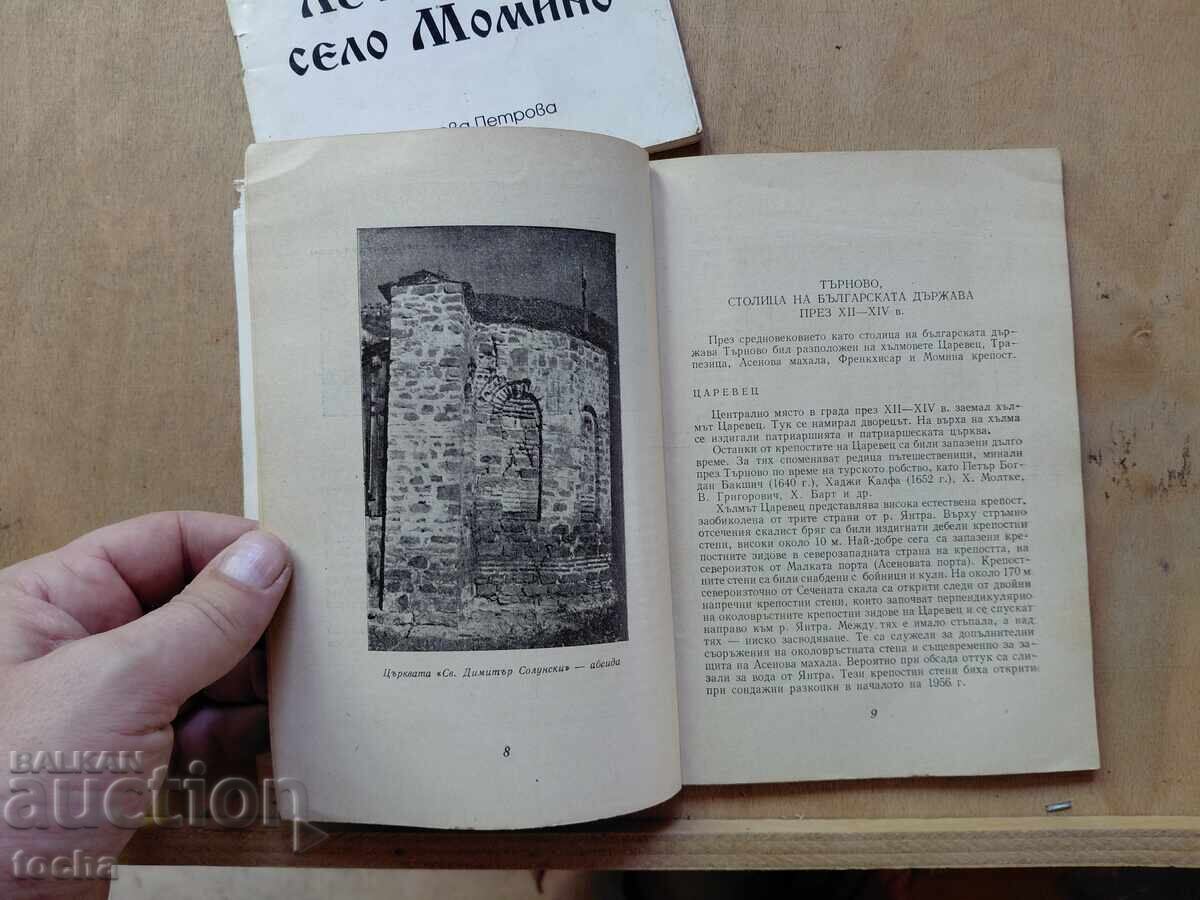 Licitație V. Tărnovo, Momino, lot