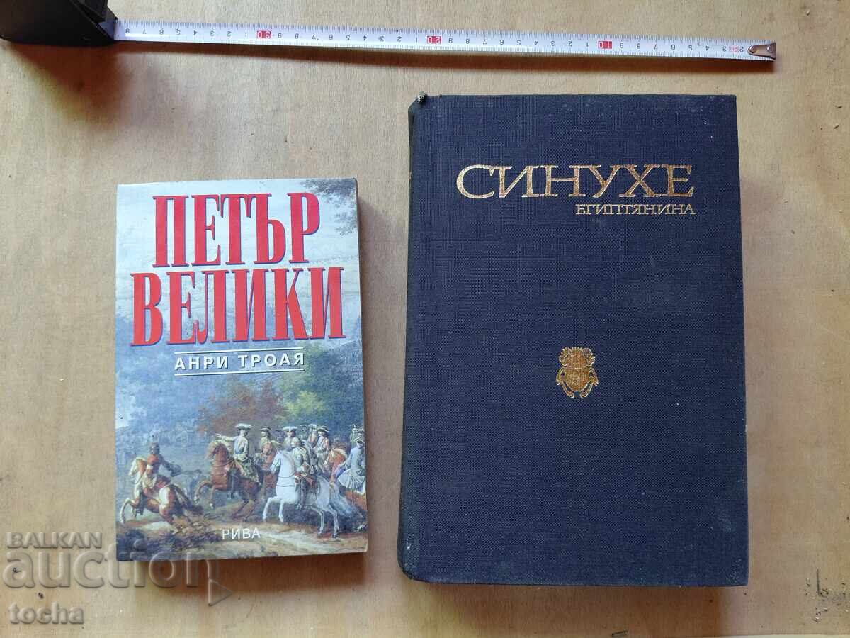 Πέτρος ο Μέγας, Σινούχε ο Αιγύπτιος, παρτίδα