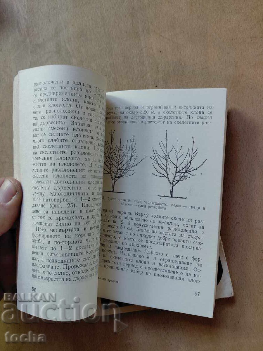 Livrarea Pomicultură, lotul unu