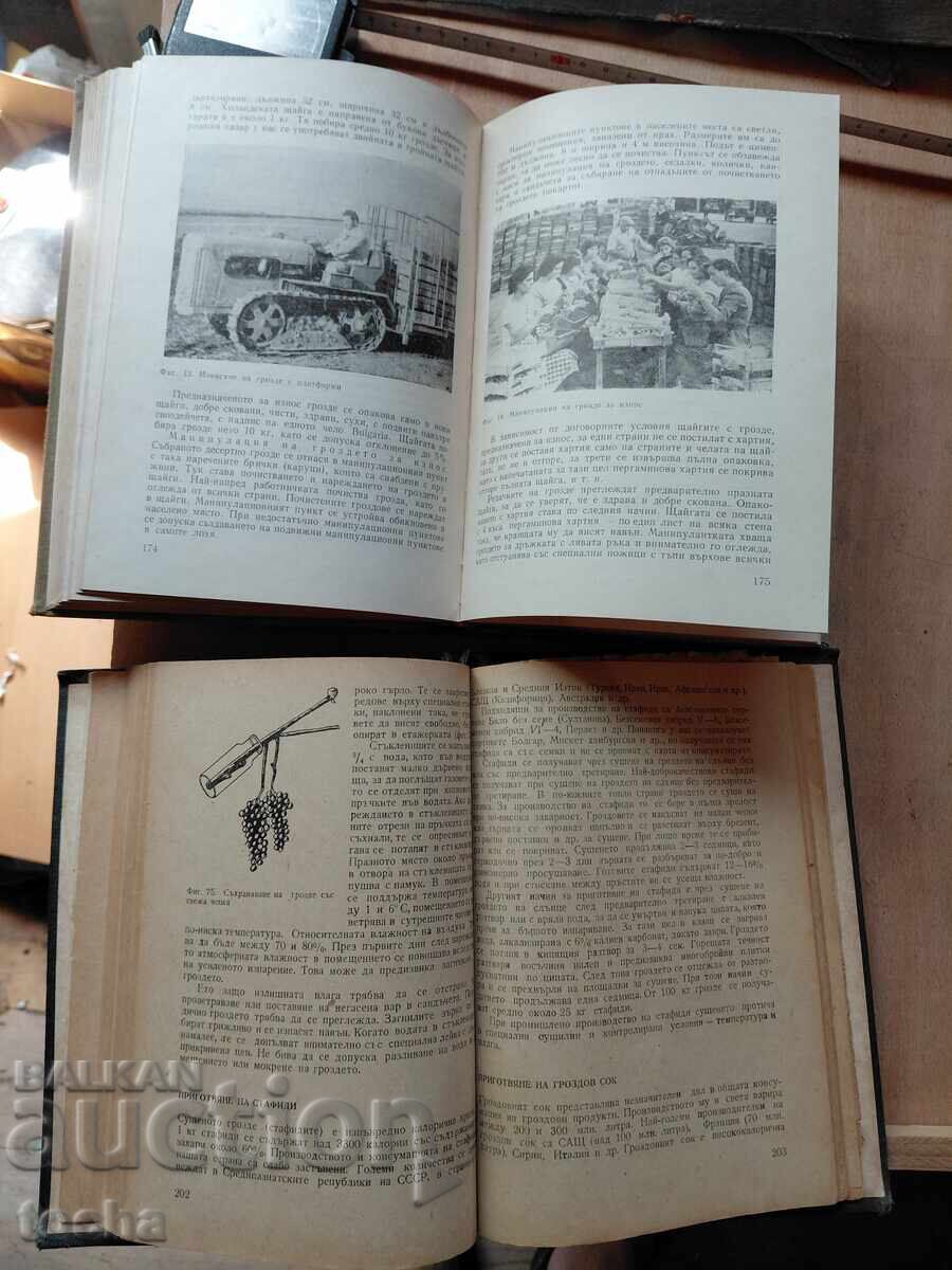 Viticultură și vinificație, lot - 5