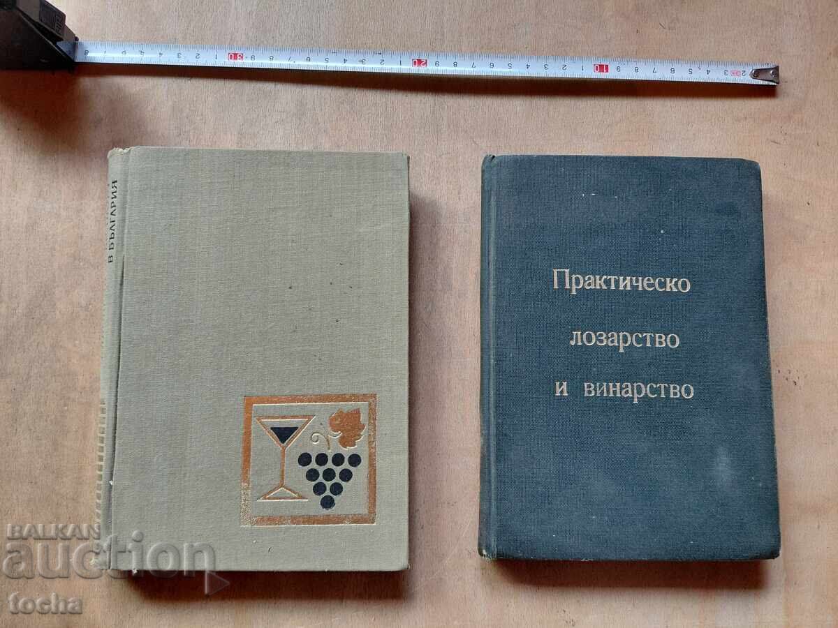 Viticultură și vinificație, lot