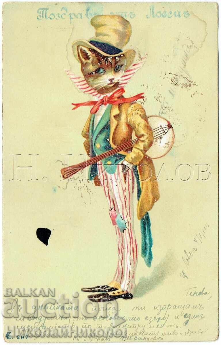 1901 CARTE POȘTALĂ VECHE SALUTĂRI DIN LOVECH CĂTRE PAVLIKENI J743