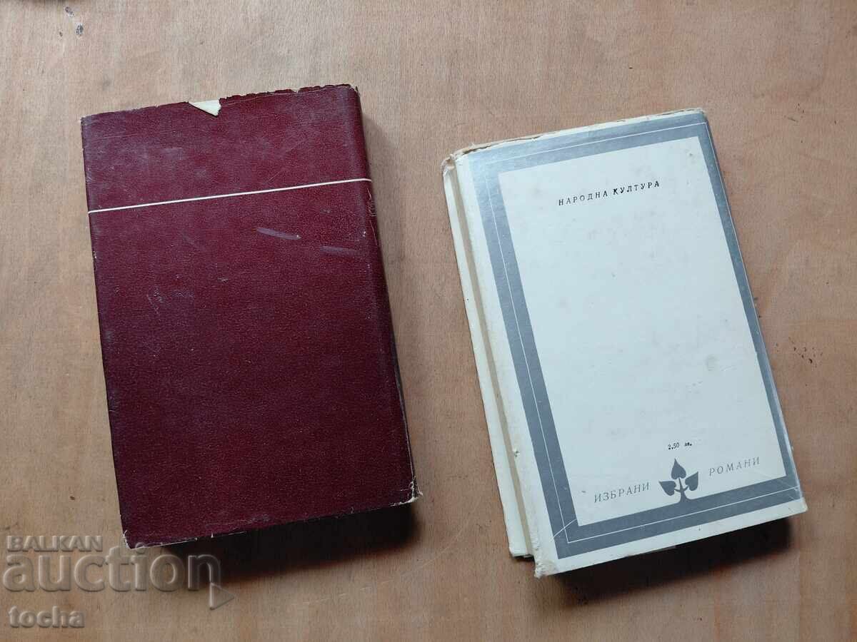 Contesa Cocozel, Un bărbat căsătorit - 6