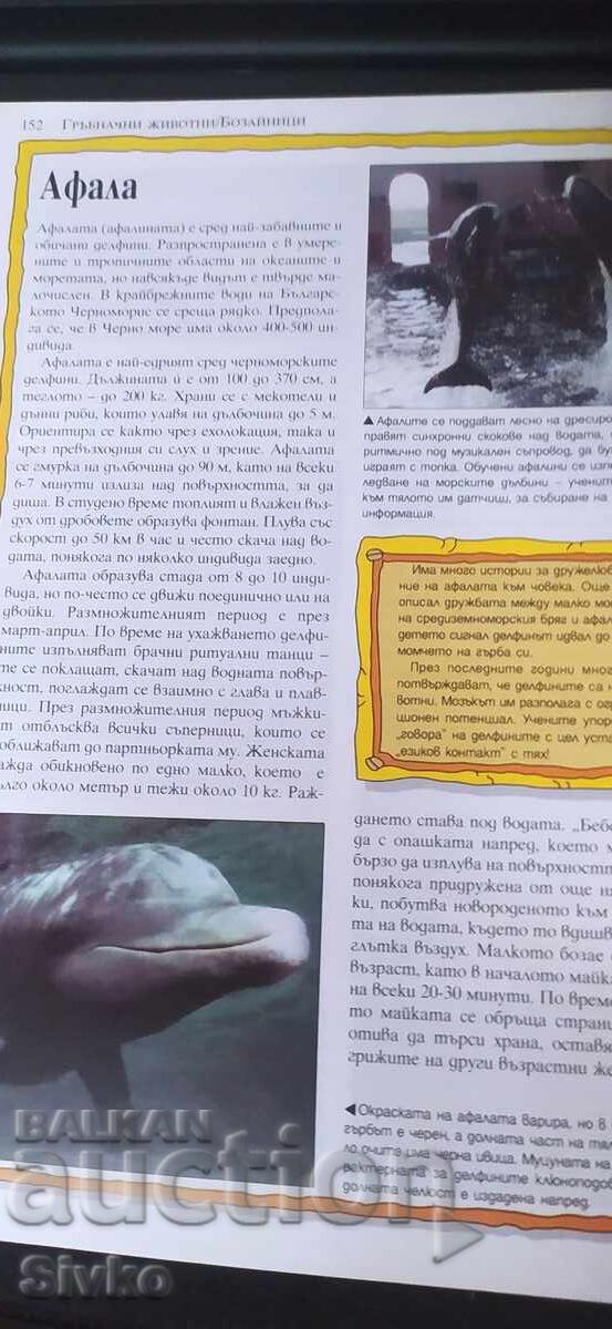 Аукцион 100 удивителни животни в България, много снимки