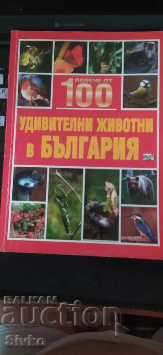 100 удивителни животни в България, много снимки