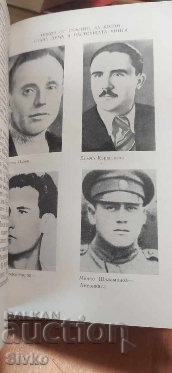 Аукцион Жарава от миналото, Георги Николов, много снимки