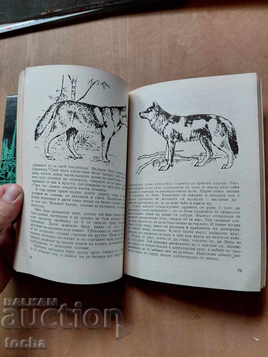 Nouă numărul cobrei, Cunoscuți tăcuți - 6