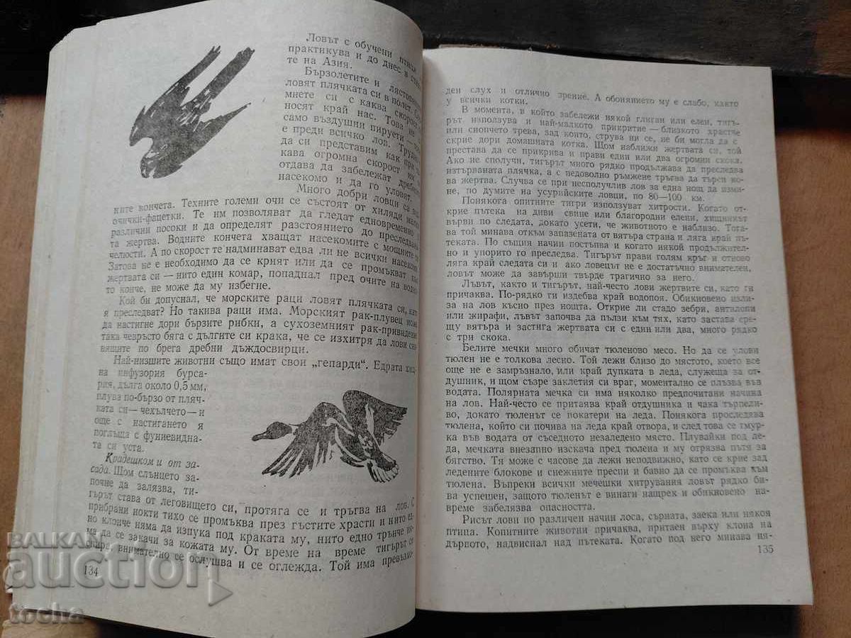 Licitație Pescuit cu undița 1955, Zoologie distractivă