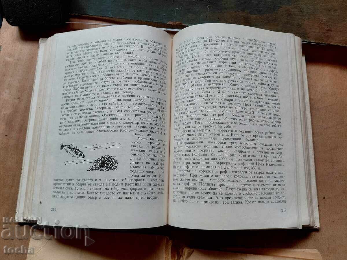 Livrarea Pescuit cu undița 1955, Zoologie distractivă