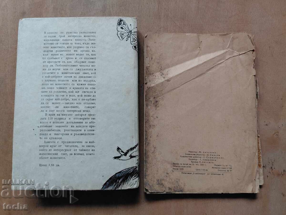 Pescuit cu undița 1955, Zoologie distractivă - 7