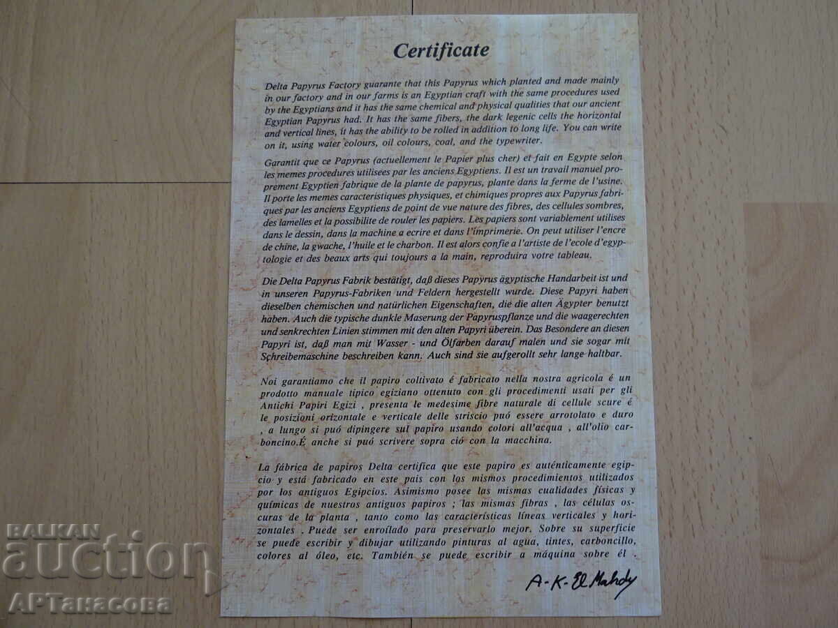 Egyptian papyrus painting with certificate - 6