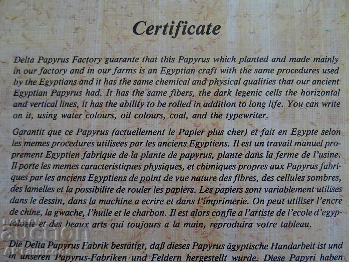 Egyptian papyrus painting with certificate - 7
