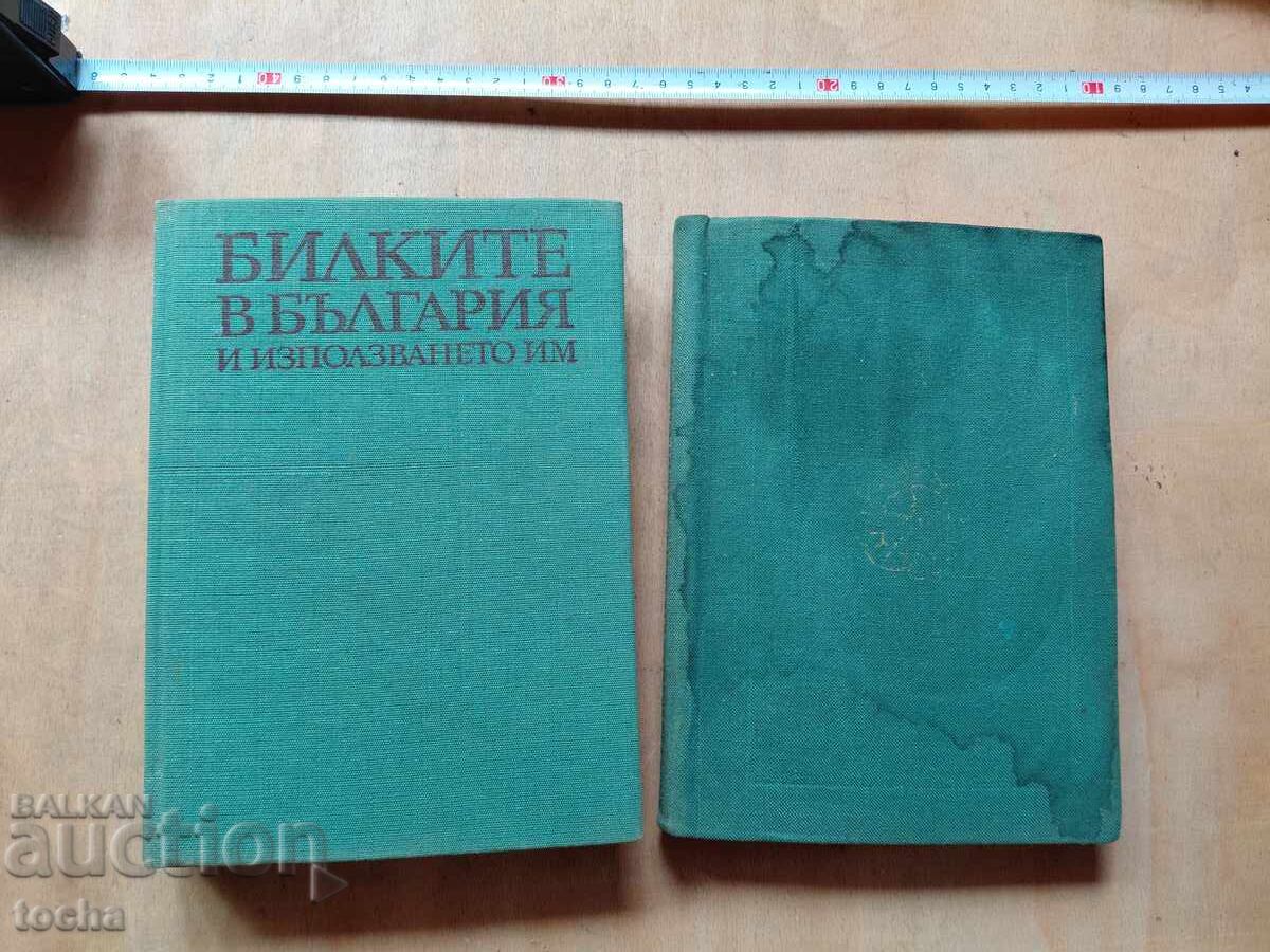 Βοτανολογία, παρτίδα