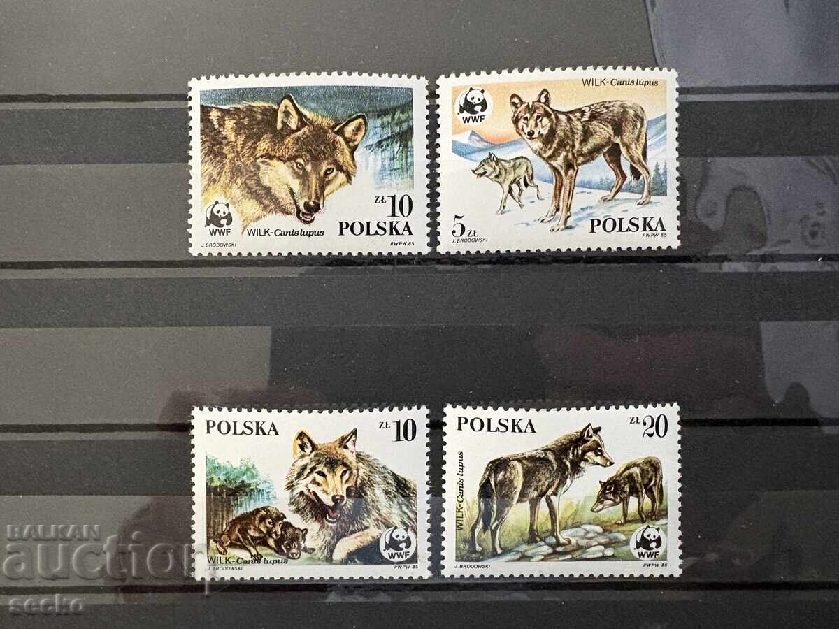 Полша - Защитени животни - Вълк (1985) MNH