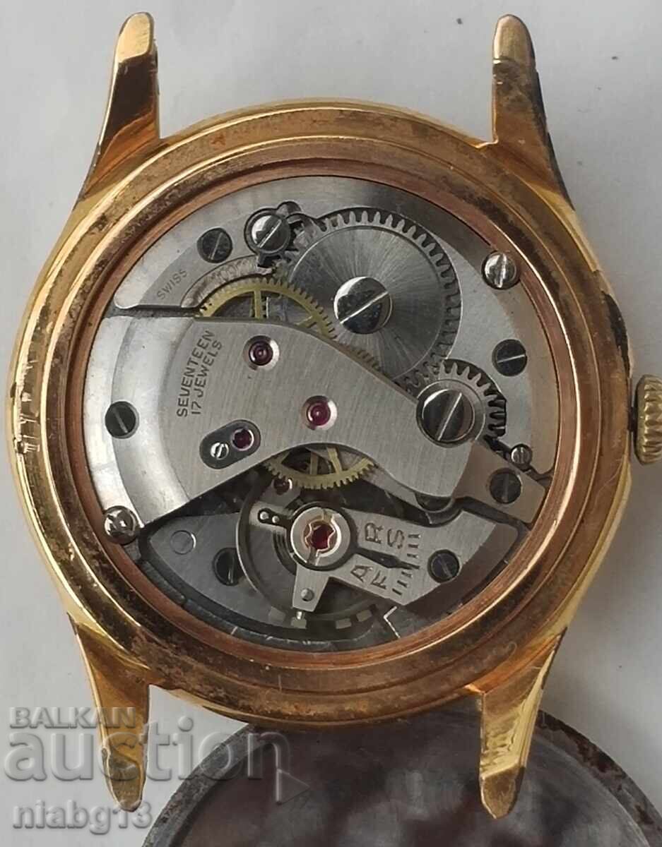 Corona - 5