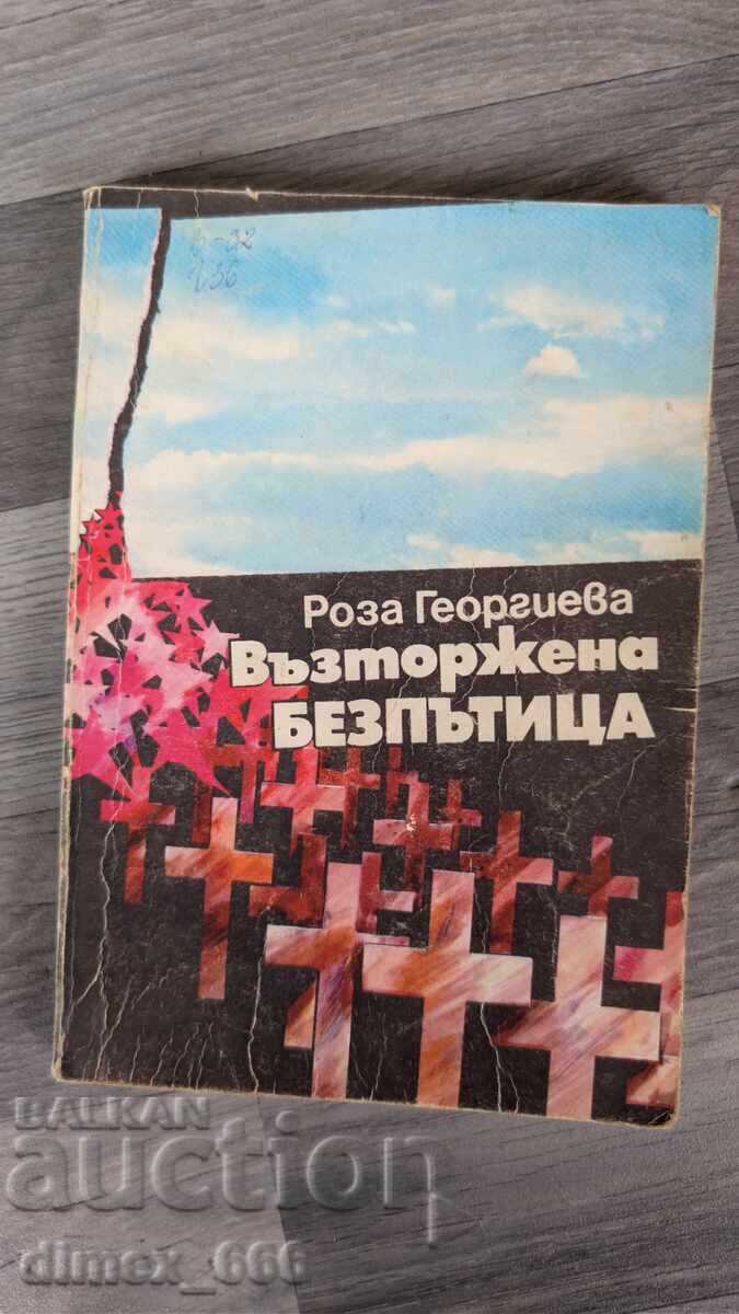 Vagabondaj extaziat Roza Gheorghieva
