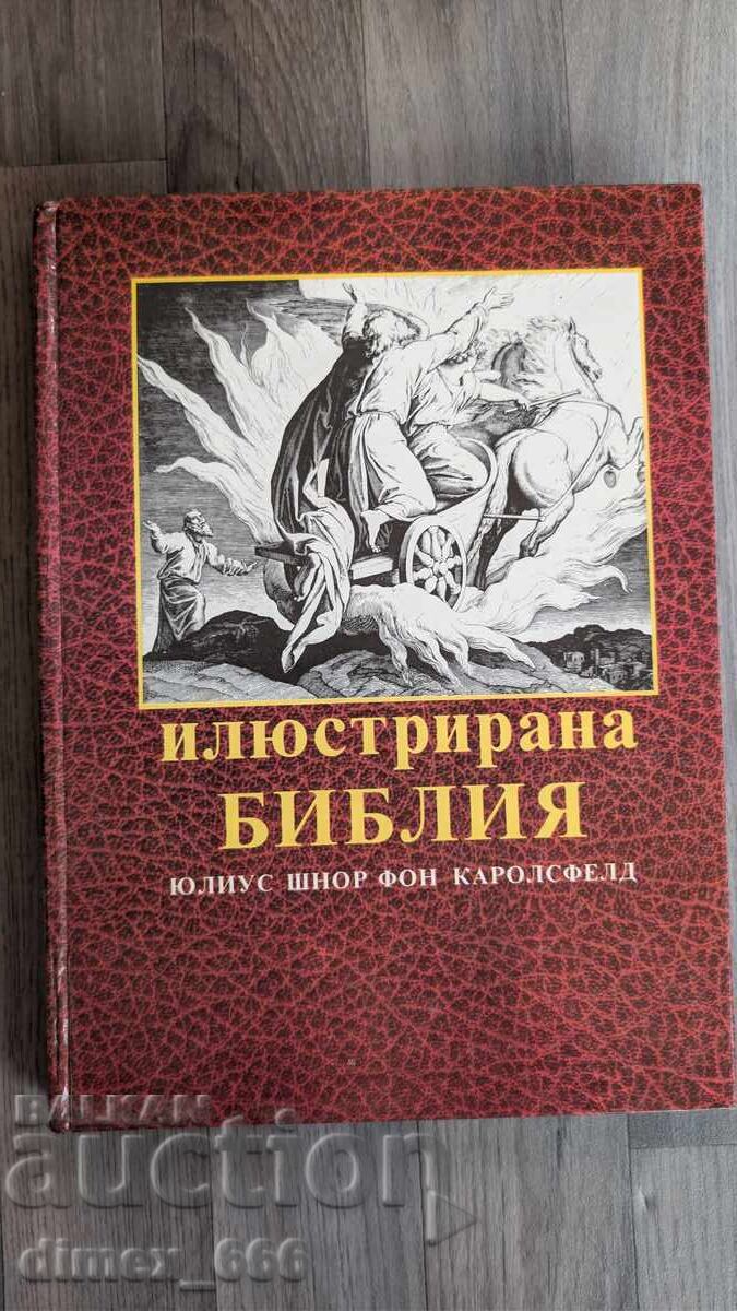 Illustrated Bible Julius Schnorr von Carolsfeld