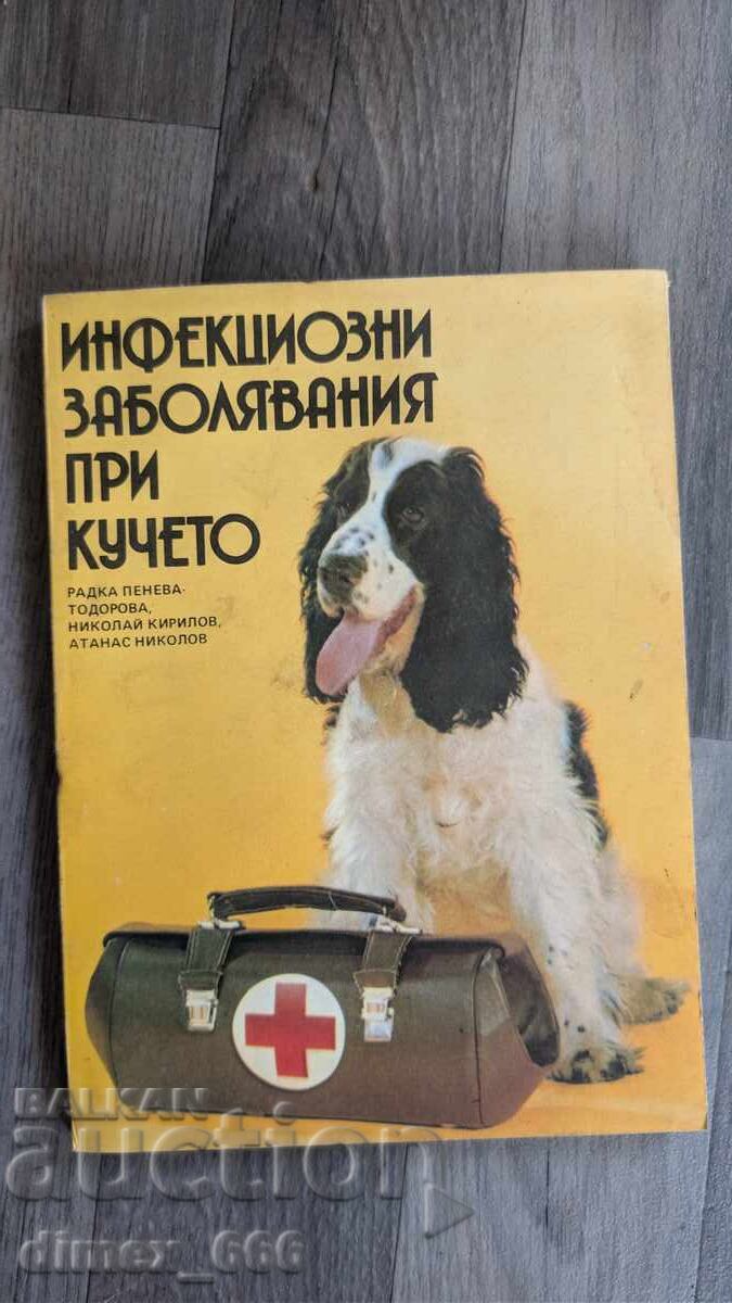 Infectious diseases in dogs