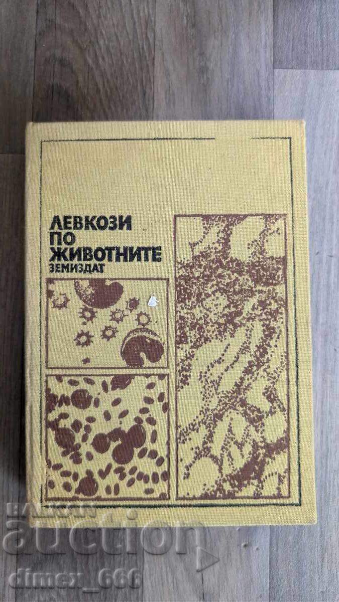 Λευκώσεις ζώων Λευκώσεις ζώων