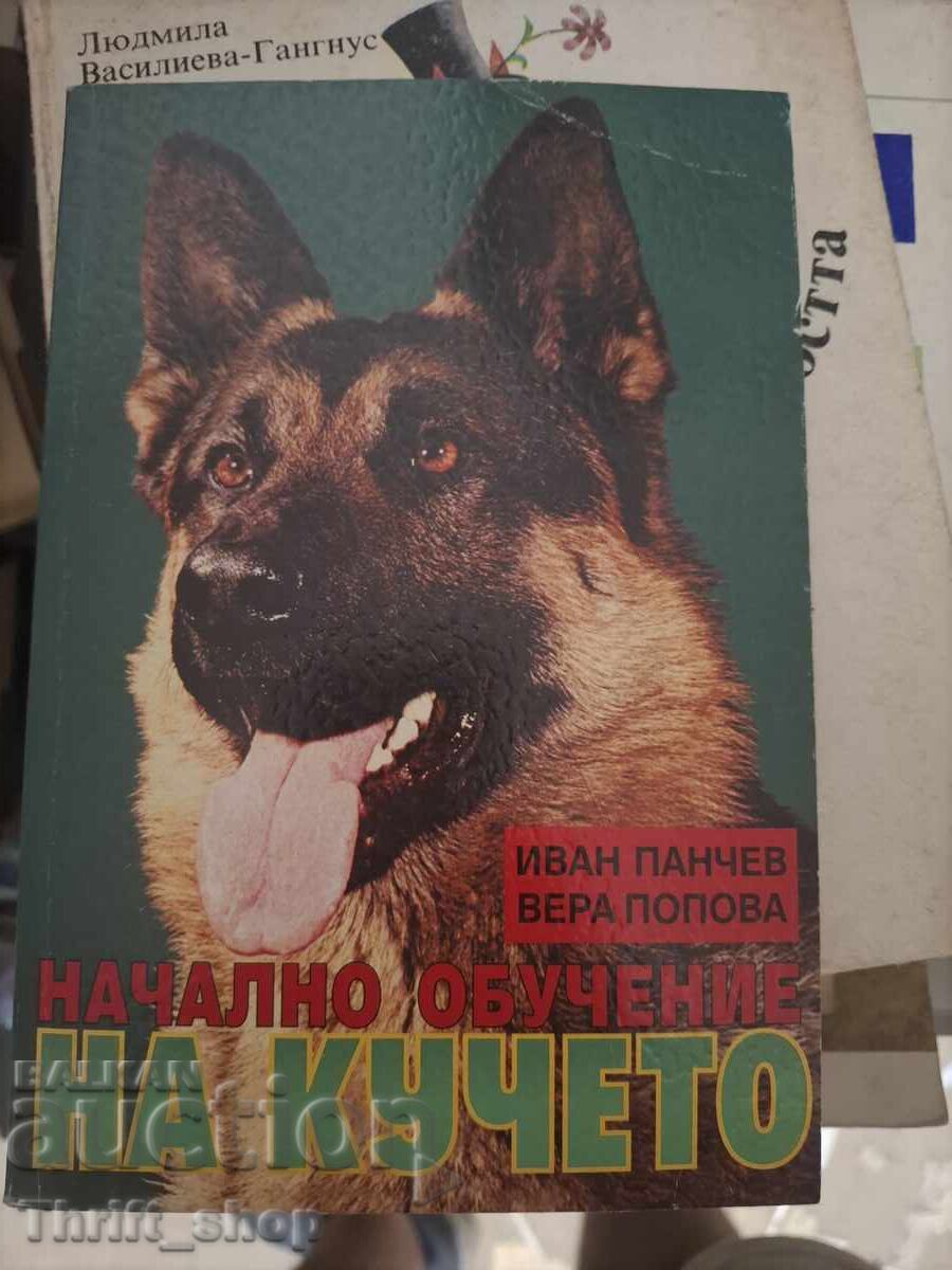 Initial dog training