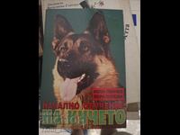 Начално обучение на кучето