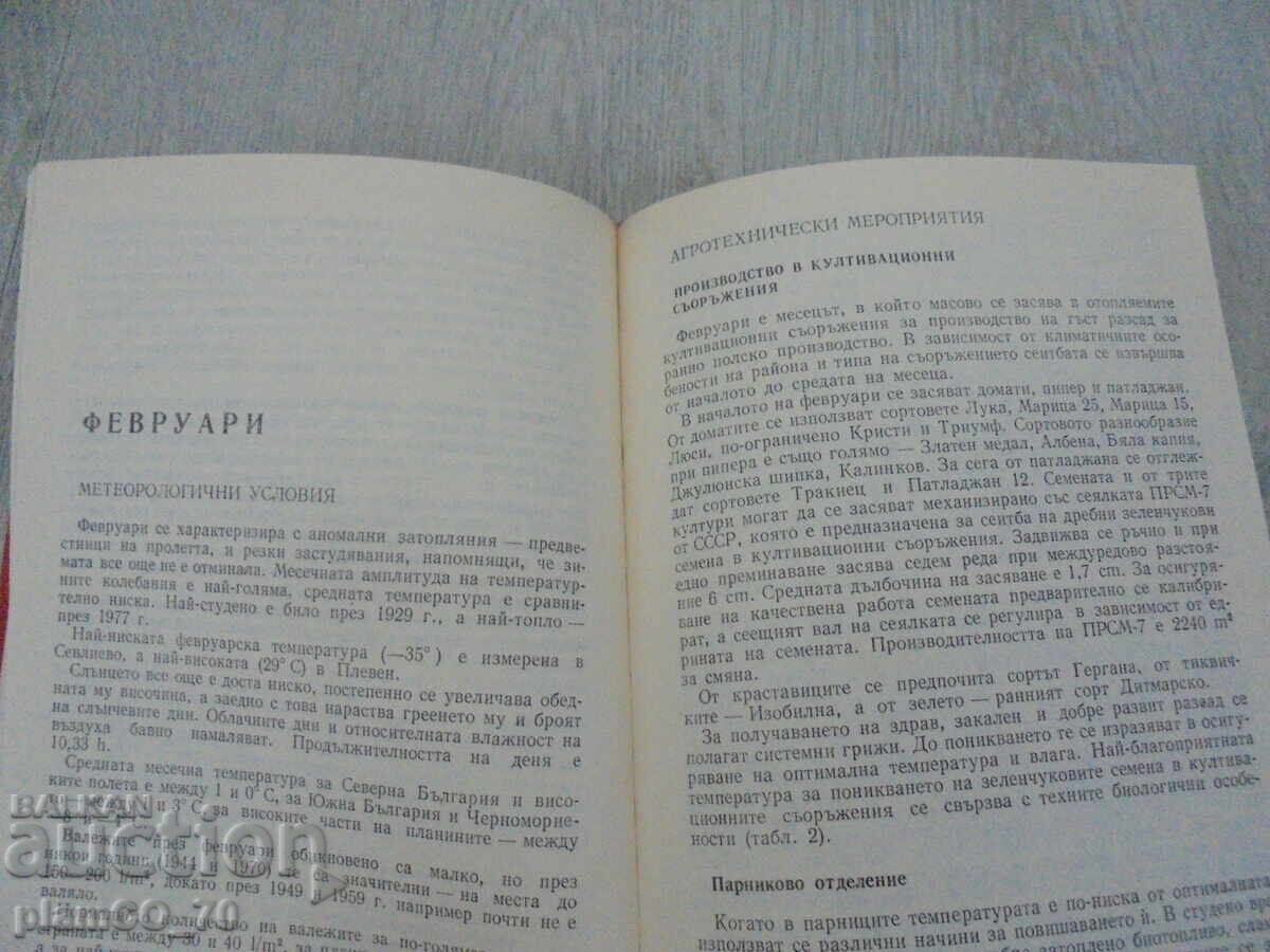 Аукцион №*8692 Календар за зеленчукопроизводителя