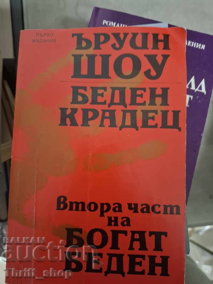 Hoțul sărac, partea a doua din Om bogat, om sărac de Irwin Shaw