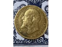 GOLD COIN