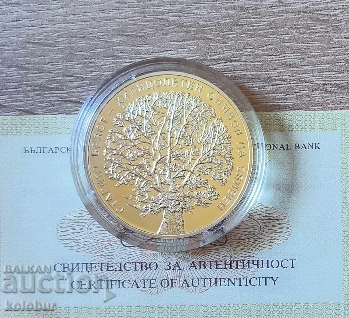 10 лева 2018 година Старият бряст в Сливен