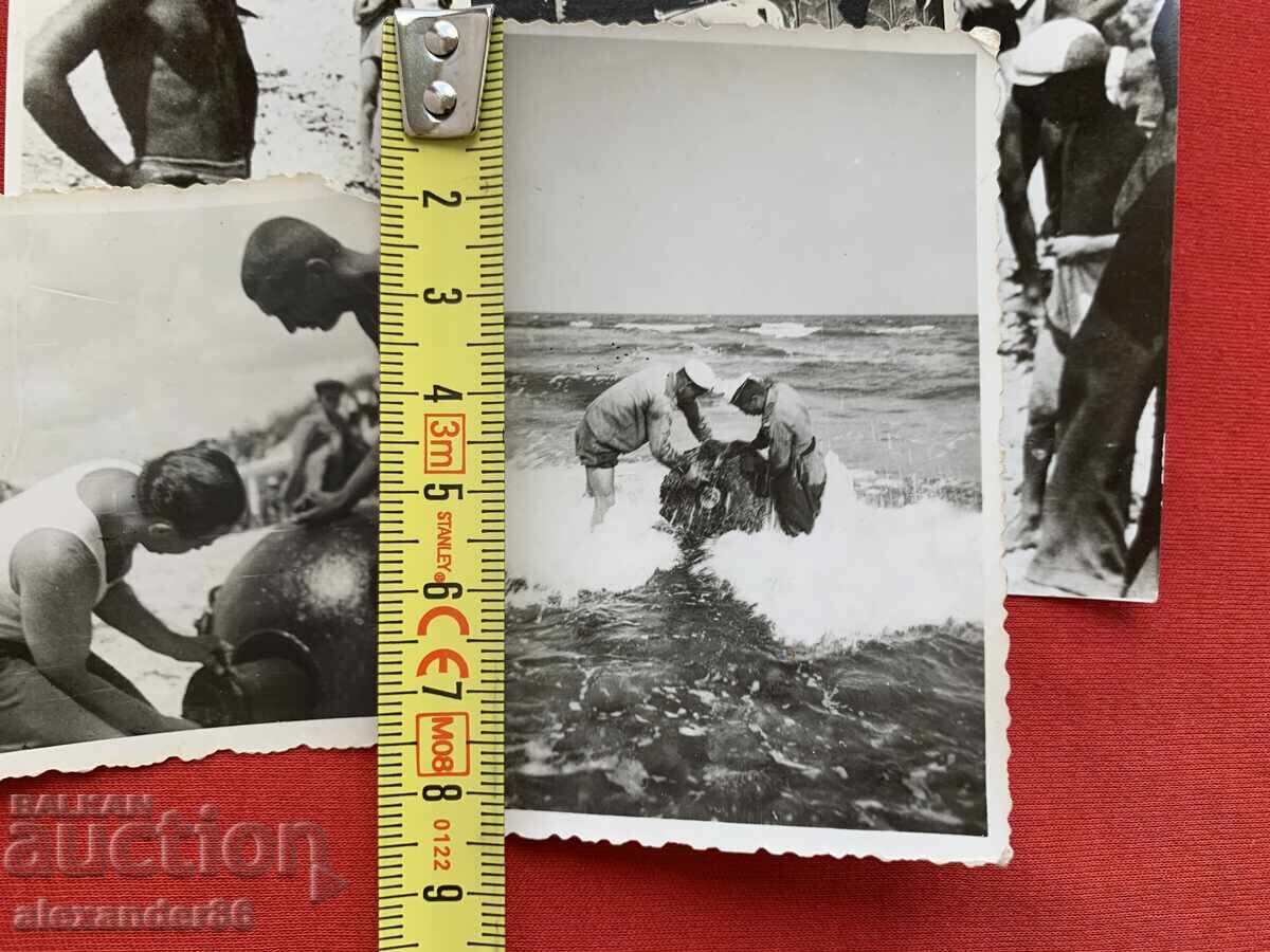 Delivery of Marine mini photos 4 pcs