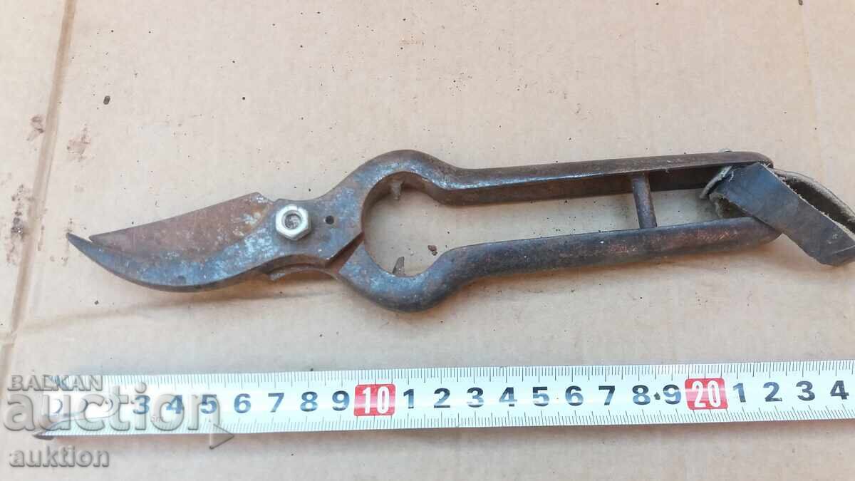 OLD SOLID VINE SHEARS with price € 1.49 | 2.91 BGN