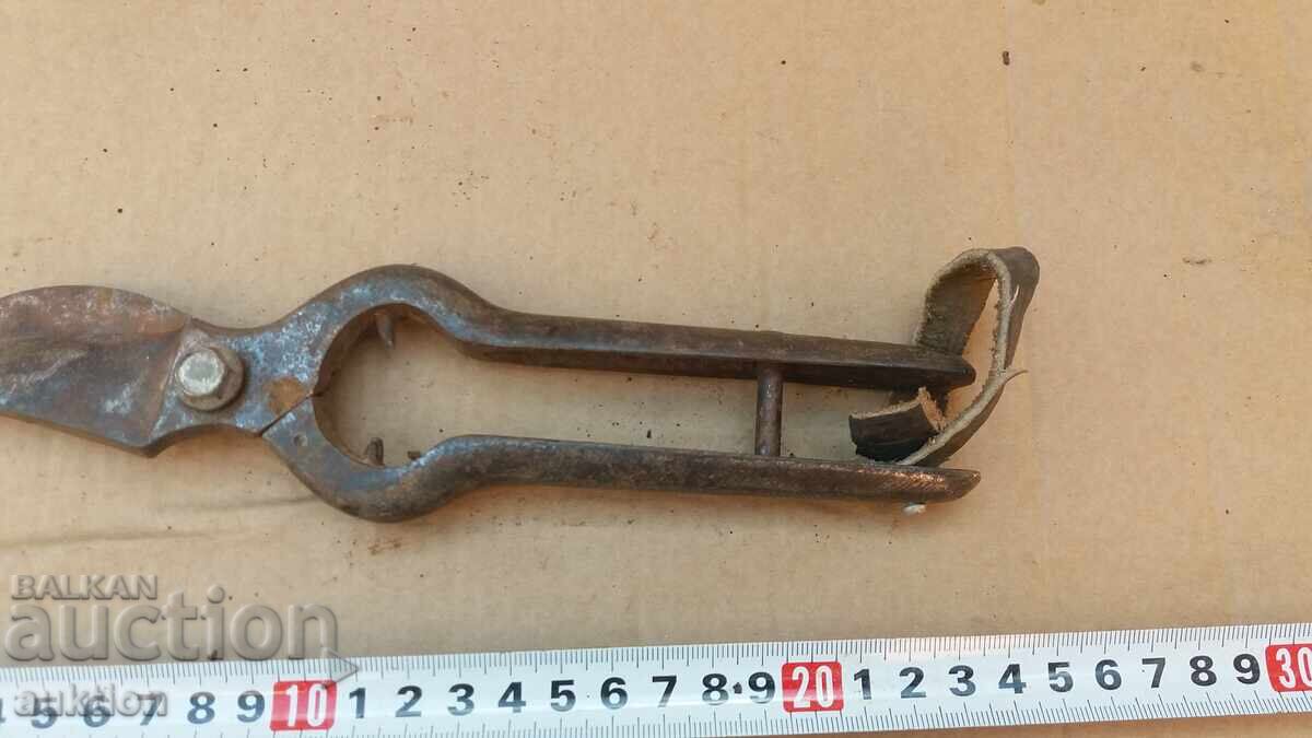 Delivery of OLD SOLID VINE SHEARS