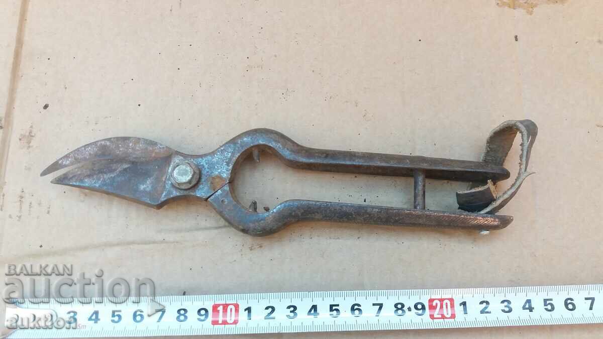 OLD SOLID VINE SHEARS - 5