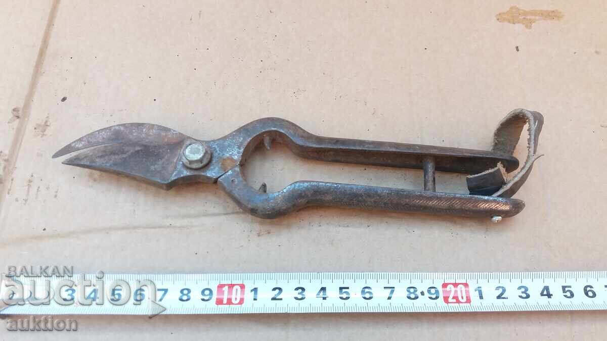 OLD SOLID VINE SHEARS - 6