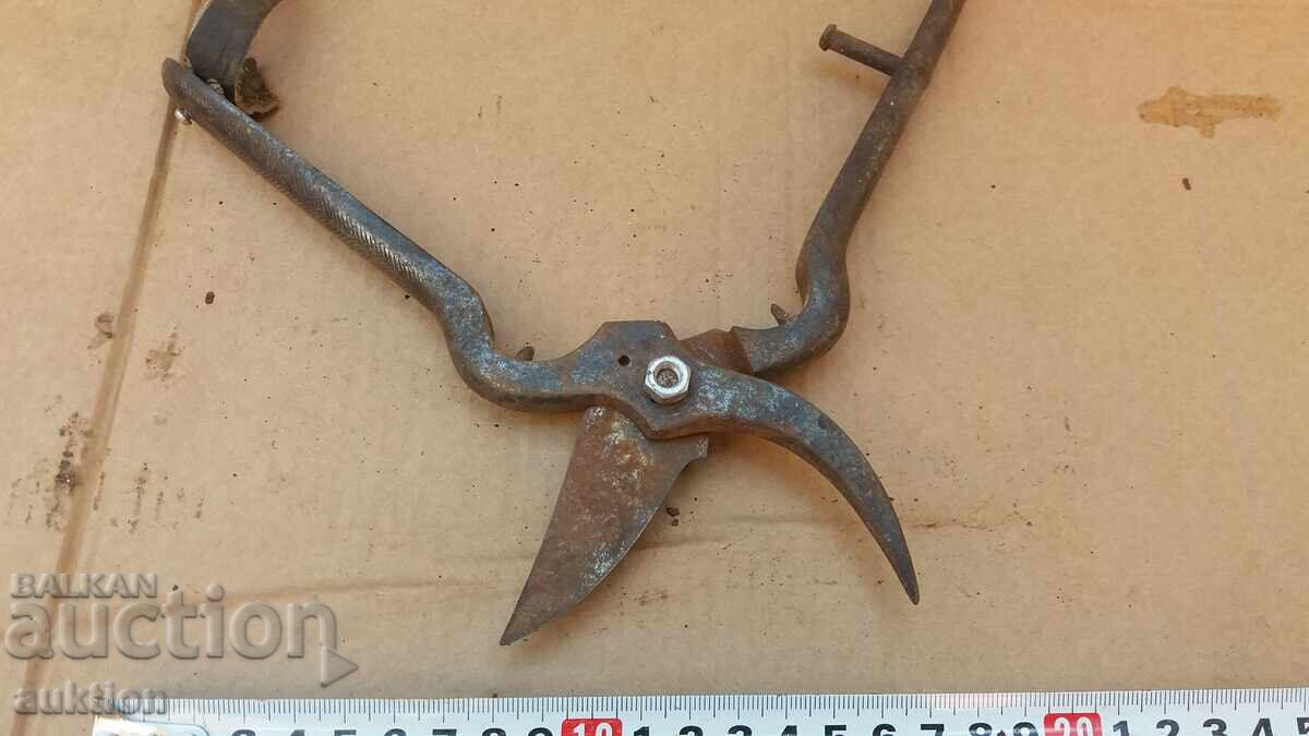 OLD SOLID VINE SHEARS - 7
