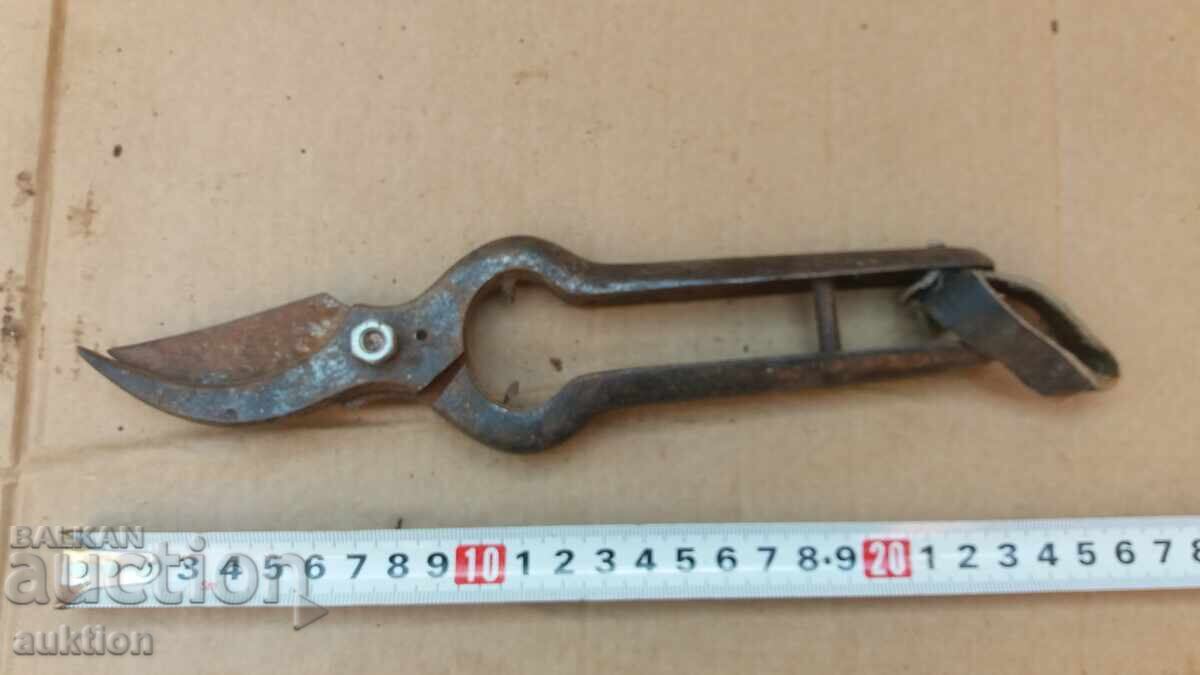 OLD SOLID VINE SHEARS