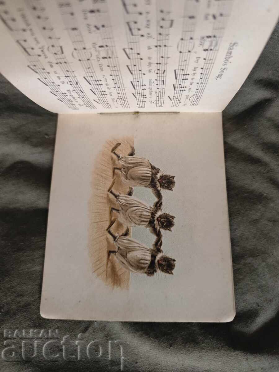 Livrarea Concertul pisicii, A.M. Lockyer și F.E. Weatherly