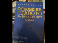 Основи на правото на европейския съюз
