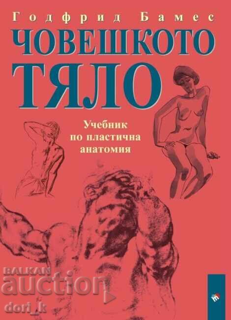 Човешкото тяло: Учебник по пластична анатомия
