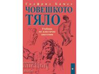 Човешкото тяло: Учебник по пластична анатомия