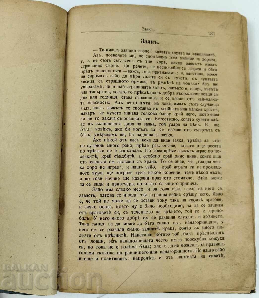 Licitație DIN REGATUL ANIMALELOR